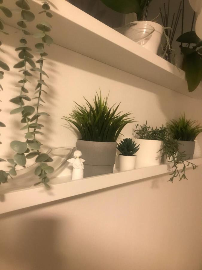 Apartman Vervis וואראז'דין מראה חיצוני תמונה